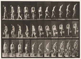 Plate 102. Svingende og stigende trapper, bøttevann i Rt Hand, 1872-1885