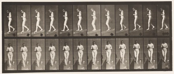 Plate 115. Synkende skråning med hendene knyttet foran