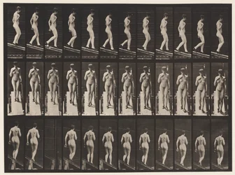 Plate 119. Synkende skråning, høyre hånd på brystet (sko)