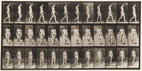 Plate 13. Vandrende, 1872-1885