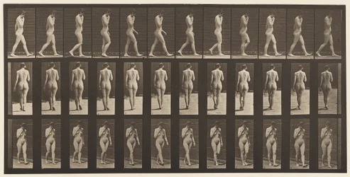 Plate 14. Walking, Right Hand at Chin, 1872-1885