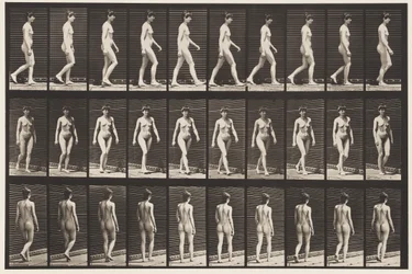 Plate 16. Vandrende, 1872-1885