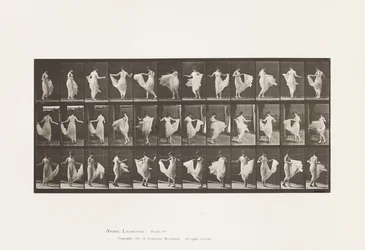 Plate 192. Dansing (fancy)