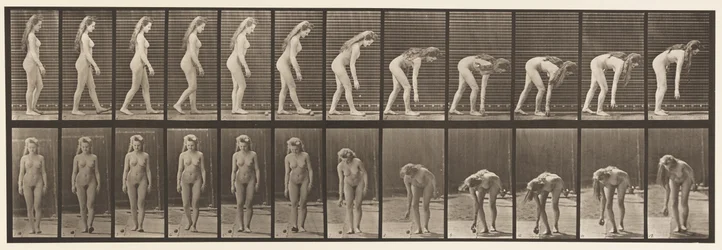 Plate 204. Stopper for å plukke opp ball