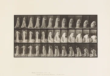 Plate 205. Bære og bøye seg med vase, 1885