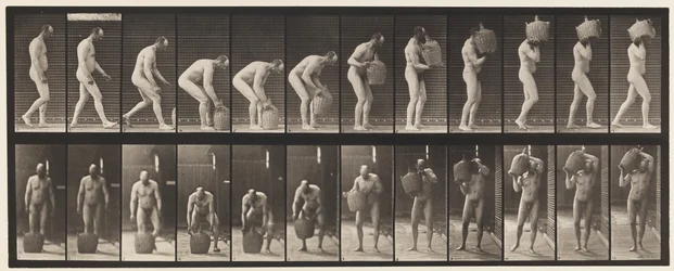 Plate 218. Bøye og løfte full Demijohn til skulder