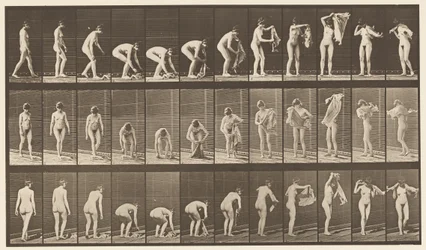Plate 227. Løfteduk fra bakken,, 1872-1885