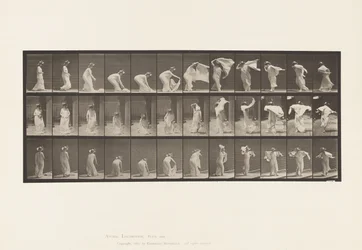 Plate 233. Løftesjal, legge rundt skuldre, snu