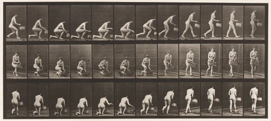 Plate 251. Kneler på venstre kne, kurv i venstre hånd og reiser seg, 1872-1885