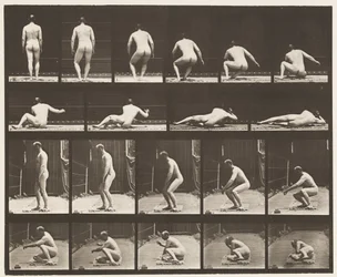 Plate 257. Liggende på bakken, 1885