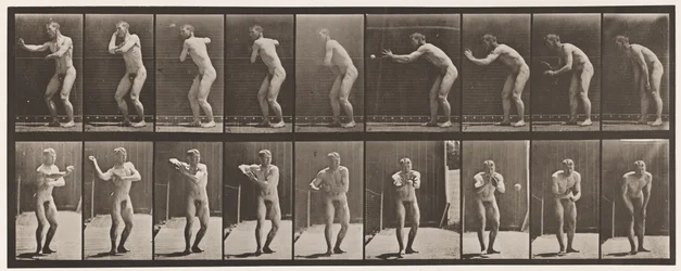Plate 281. Base-ball; Fangst og kaster