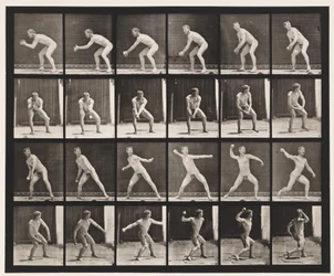 Plate 283.Base-ball; Fang og kast, 1885