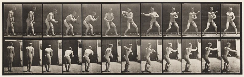 Plate 285. Base-ball; Fangst og kaster