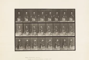Plate 296. Plentennis