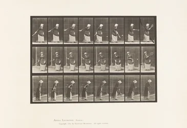 Plate 297. Plentennis
