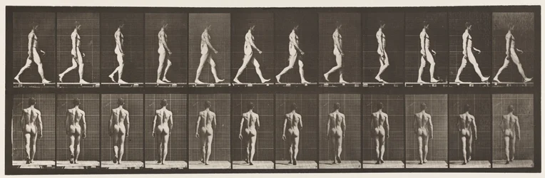 Plate 2. Vandrende, 1872-1885