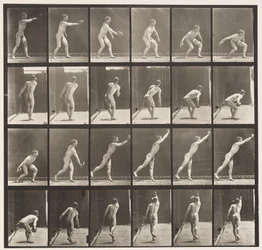 Plate 307. Kaste en jernskive, 1872-1885