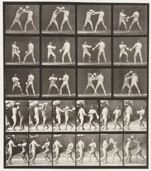 Plate 334. Boksing; Med hansker (sko)