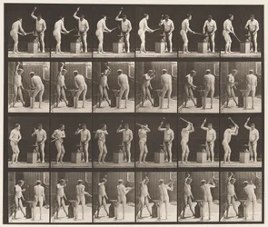 Plate 377. Smed, to modeller, hamring på Advil, 1872-1885