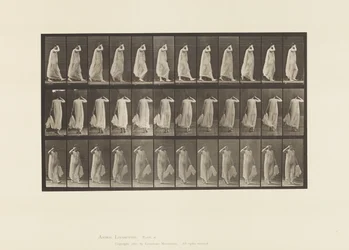 Plate 37. Gående, venstrehåndsholdende kjole, høyre hånd ved ansiktet, 1872-1885