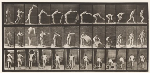 Plate 439. Spre et teppe på gulvet, 1872-1885
