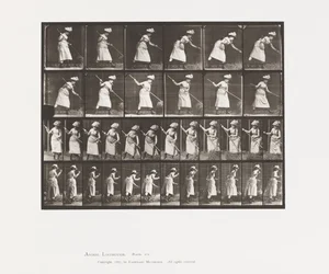 Plate 456. Rangeringen er 165