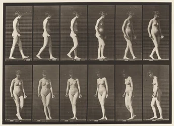 Plate 47. Gå og snu seg rundt
