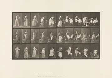 Plate 497. Diverse faser av toalettet, 1885