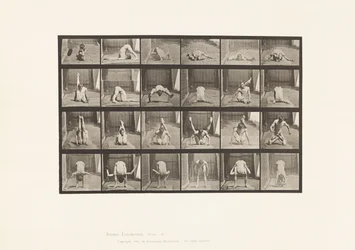 Plate 511. Vridninger på bakken