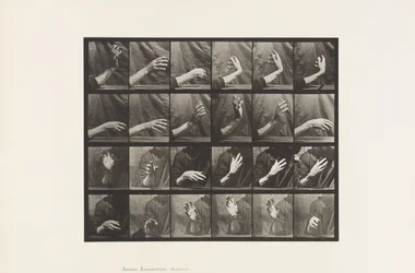 Plate 535. Bevegelse av hånden; Beating Time, 1885