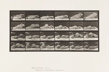 Plate 536. Bevegelse av hånden; hender som skifter blyant