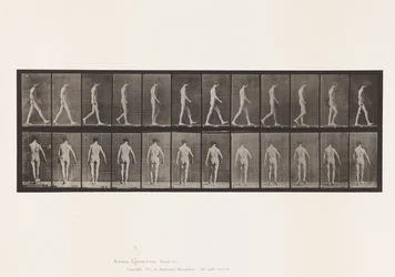 Plate 546.Locomotor Ataxia; Gående, 1885