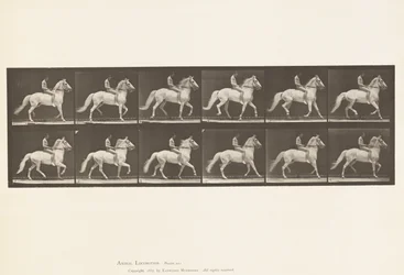 Plate 590.Ambling