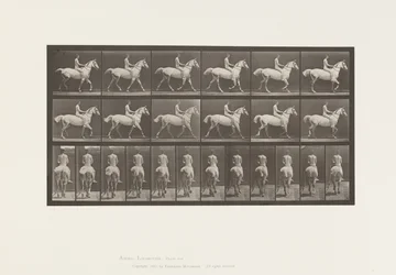 Plate 602.Trav;Bareback; Rytter, 43, naken; lysgrå hest Smith, 1885