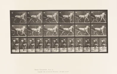 Plate 611. Trav; Sulky; Grey Mare, Katydid