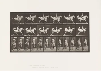 Plate 622. Galopp; Sal; Rytter, 43, naken; grå hest Smith, 1885
