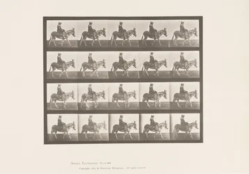 Plate 666. Ass; Turgåing; Sal; En jente som rir, Zoo