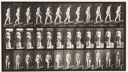 Plate 77. Stigende stigning