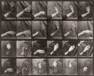 Sekvens med håndbevegelse, plate 535 fra Animal Locomotion (kollotype)