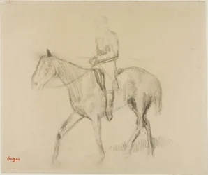 Hest og rytter