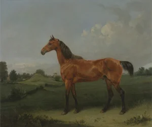 A Bay Horse in a Field (olje på lerret)