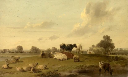 Landskap med storfe og sau
