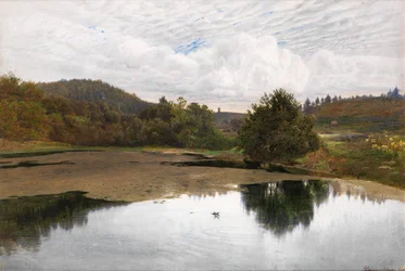 Leith Hill, fra Broadmoor, Surrey