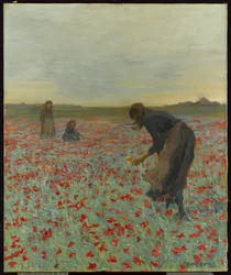 Jenter i en valmuemark, ca. 1896