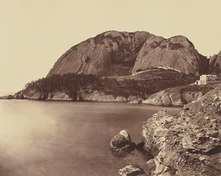 La Ciotat. Ørnenebb