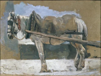 Hest i seletøy