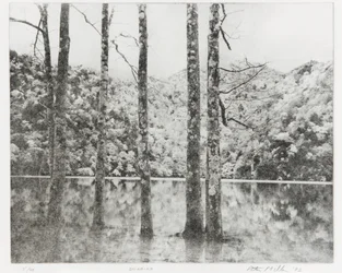 Toki-Noko, 1992