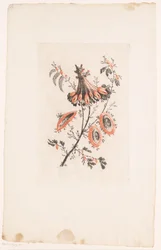 Parasollformede blomster Fleurs Idealle (serietittel)