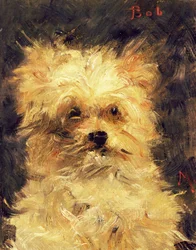 Hode av en hund - Bob, 1876