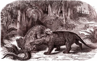 Iguanodonen og Megalosaurusen (gravering